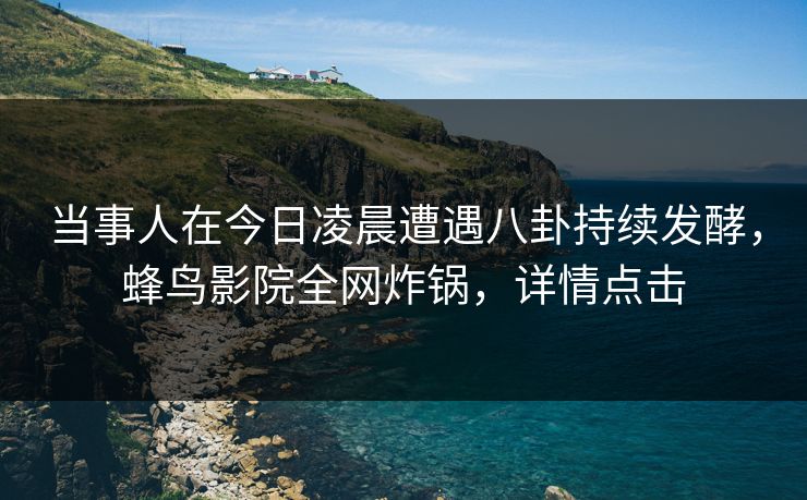 当事人在今日凌晨遭遇八卦持续发酵，蜂鸟影院全网炸锅，详情点击