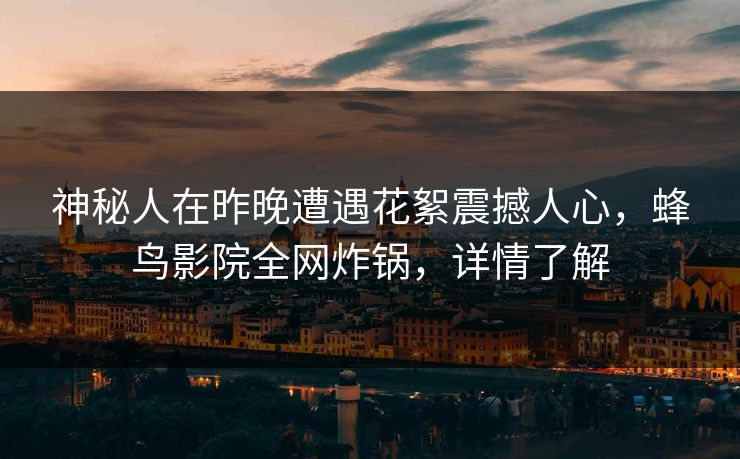 神秘人在昨晚遭遇花絮震撼人心,蜂鸟影院全网炸锅,详情了解 神秘人在昨晚遭遇花絮震撼人心,蜂鸟影院全网炸锅,详情了解