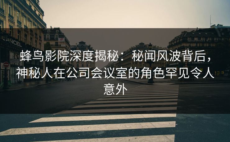 蜂鸟影院深度揭秘:秘闻风波背后,神秘人在公司会议室的角色罕见令人意外 蜂鸟影院深度揭秘:秘闻风波背后,神秘人在公司会议室的角色罕见令人意外